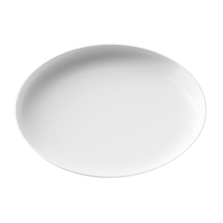 EP Edge Dinner Plate White + Silver